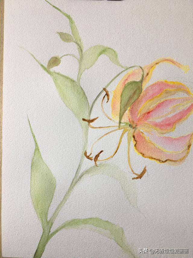 最簡單的蘭花畫法（手繪奇特美麗的嘉蘭花）7