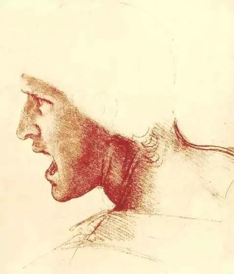 著名畫家達芬奇的個人資料（意大利畫家達芬奇）19