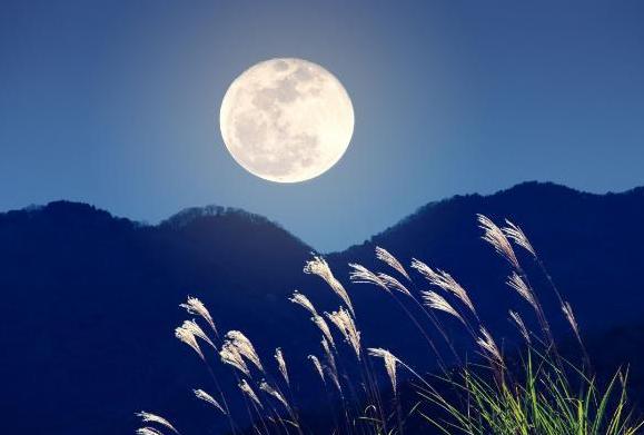 關于月亮唯美的詩句（5首有關月亮的詩詞）1