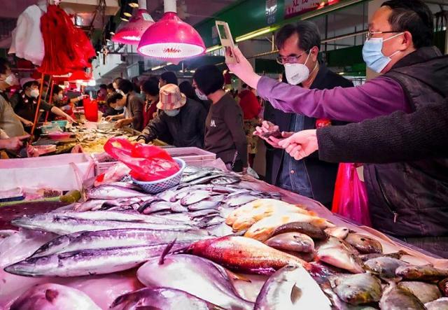人工養殖海産魚有哪些種類（海鮮市場裡這4種魚）1