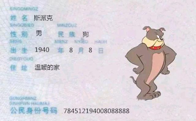貓和老鼠的身份證（貓和老鼠角色辦身份證）7