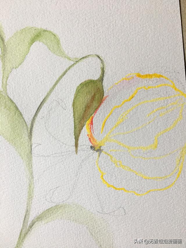 最簡單的蘭花畫法（手繪奇特美麗的嘉蘭花）5