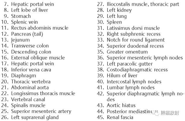 肝總管ct解剖位置（收藏上腹部CT斷層）23