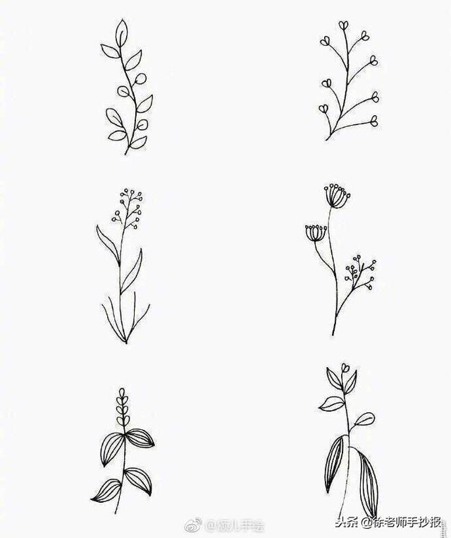 關于植物的手抄報簡單又漂亮（54種小植物手抄報花邊素材）2