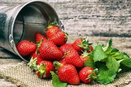草莓吃多了會導緻嘔吐嗎（吃草莓吐紅水）10