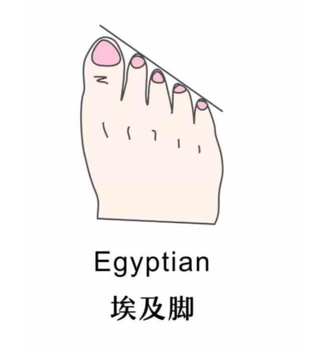 女性腳型的标準（女人腳型一般分為這5種）2
