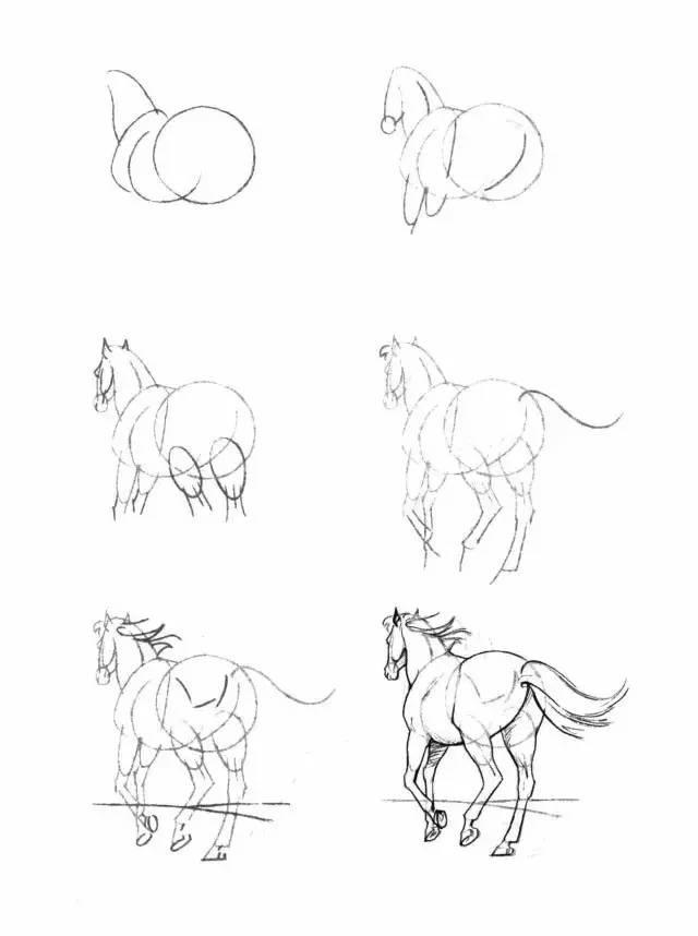 怎麼畫馬最簡單最好看帥氣（幹貨不會畫馬教你40種馬的結構畫法）12