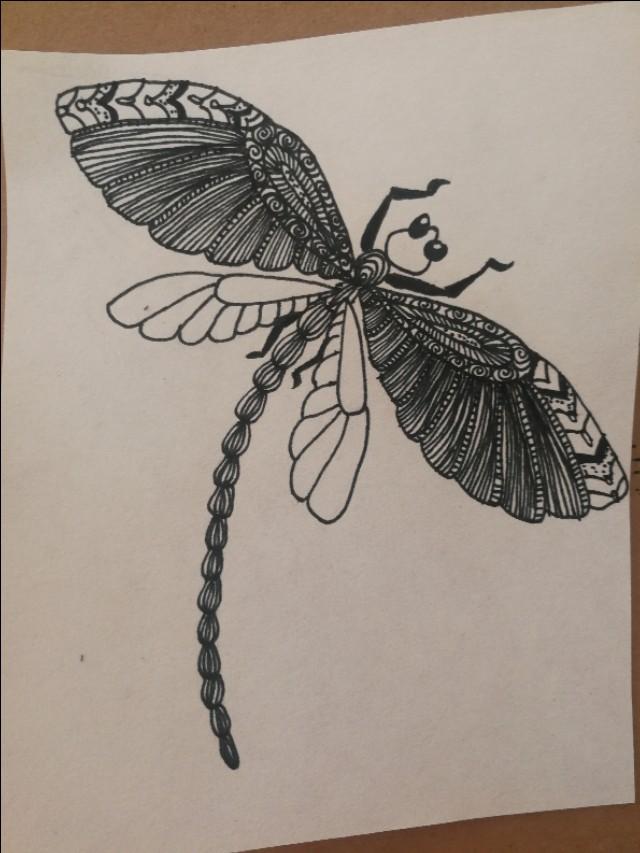 線條蜻蜓怎麼畫（超簡單的線描蜻蜓畫）8