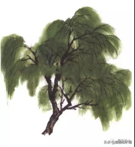 簡單的山水畫樹的畫法（山水畫入門春樹畫法）9