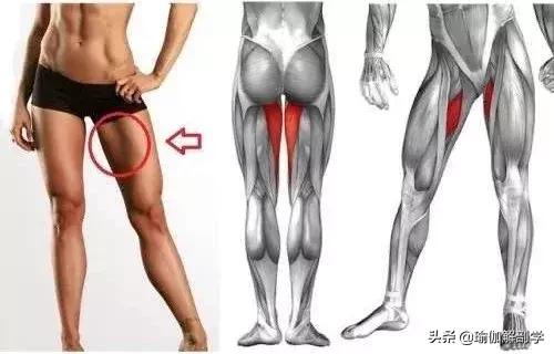伸展大腿内側瑜伽動作（10個瑜伽動作和大腿内側的）2
