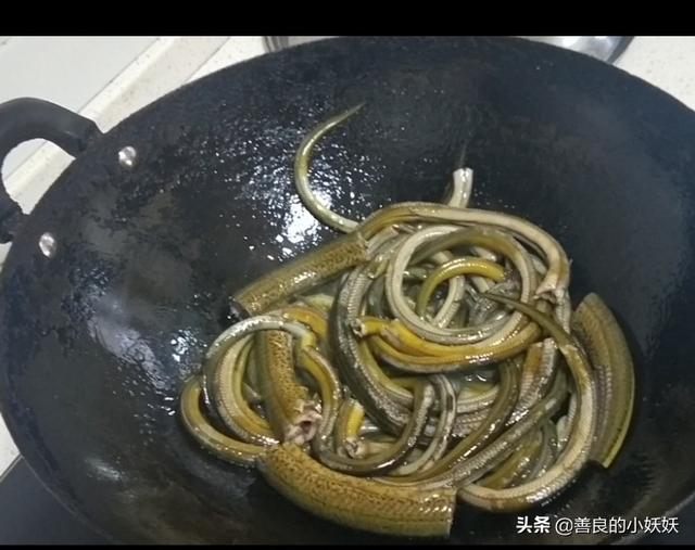 盤龍黃鳝是怎麼做的（野生鳝魚不炒青椒）6