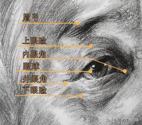 素描眼睛畫法步驟結構（美術繪畫素描之眼睛的結構和畫法）3