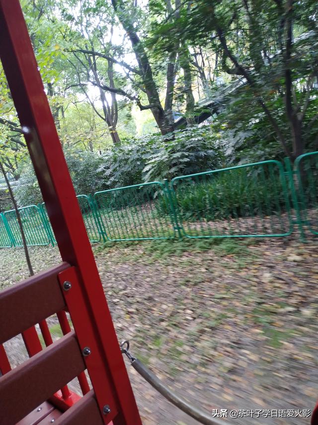 上海共青森林公園有什麼項目玩（強烈推薦-上海共青國家森林公園-超級适合散心遊玩以及睡覺）21