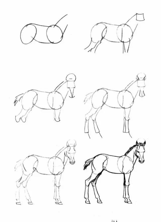 怎麼畫馬最簡單最好看帥氣（幹貨不會畫馬教你40種馬的結構畫法）11