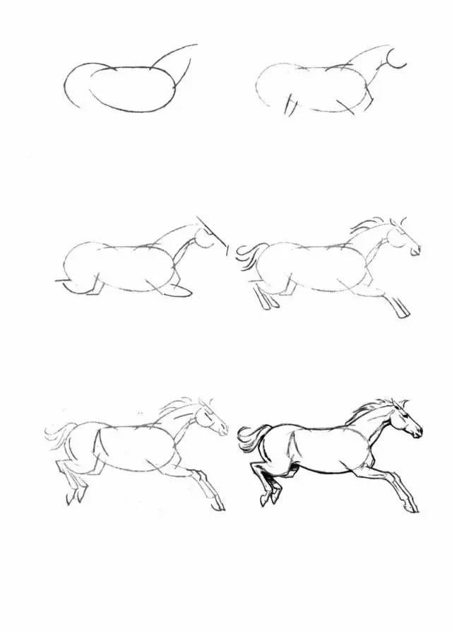 怎麼畫馬最簡單最好看帥氣（幹貨不會畫馬教你40種馬的結構畫法）30