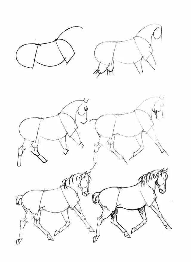 怎麼畫馬最簡單最好看帥氣（幹貨不會畫馬教你40種馬的結構畫法）31