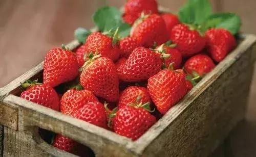 草莓吃多了會導緻嘔吐嗎（吃草莓吐紅水）8