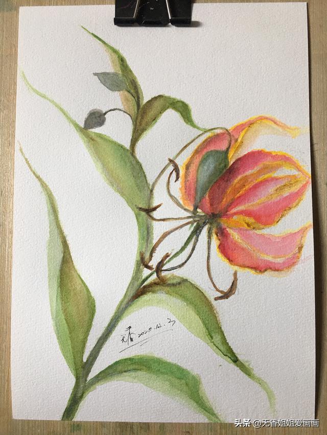 最簡單的蘭花畫法（手繪奇特美麗的嘉蘭花）10