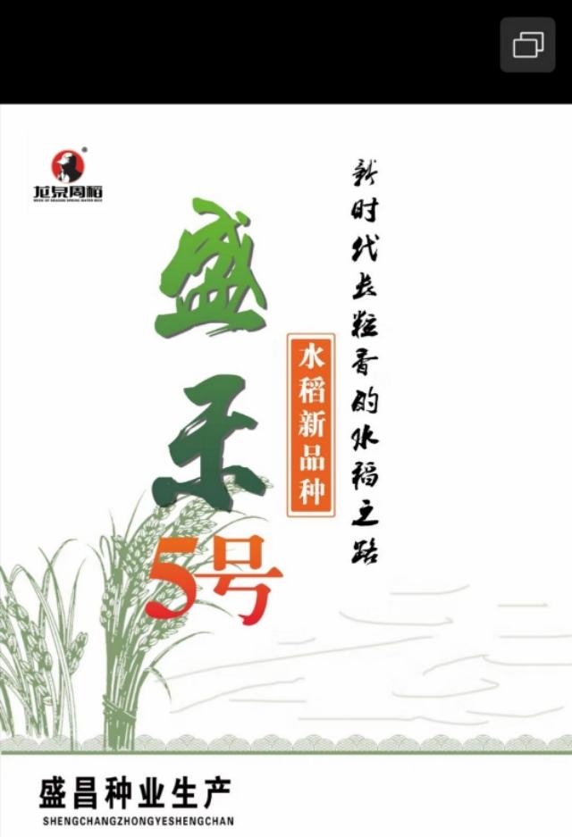 黑龍江可以種植的旱稻品種（黑龍江省能種雜交稻）2
