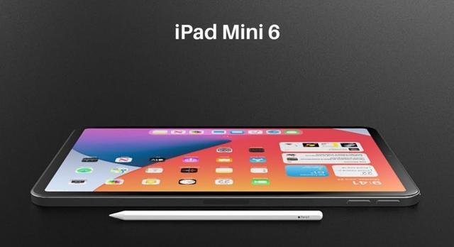 ipad mini6兩個月使用感受（iPadmini6上手體驗天生注定的小衆産品）4