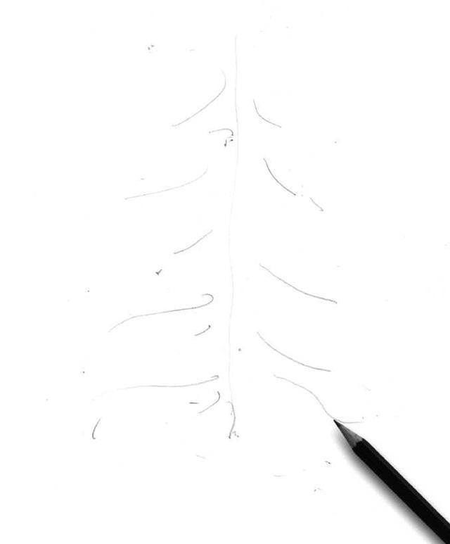 速寫植物臨摹圖簡單（植物速寫很難畫）6