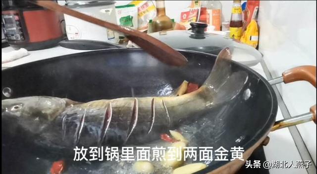 紅燒鯉魚怎麼做才好吃又簡單不辣（紅燒鯉魚好吃有訣竅）6