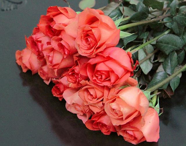 象征愛情的玫瑰花（象征愛情和美麗的玫瑰）3