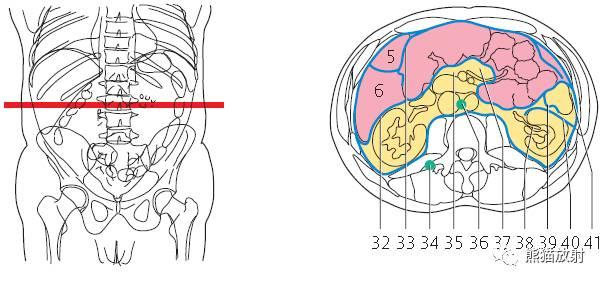肝總管ct解剖位置（收藏上腹部CT斷層）43