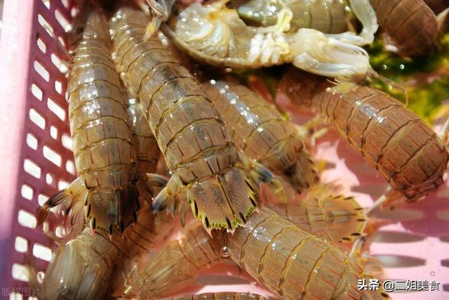 皮皮蝦和母蝦的區别（公的好吃還是母的好吃）2