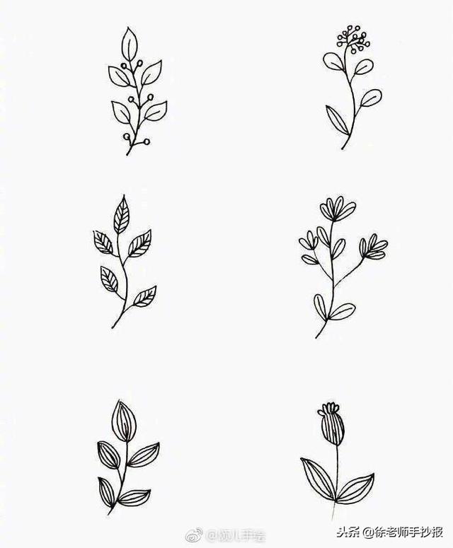 關于植物的手抄報簡單又漂亮（54種小植物手抄報花邊素材）8