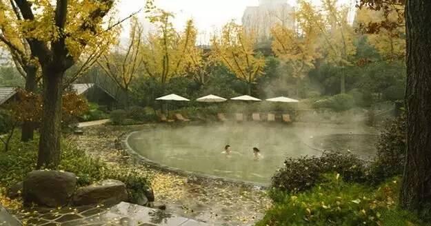 重慶附近的溫泉有哪些（最低溫6重慶周邊最受歡迎的八大溫泉地）12