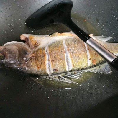 海鲈魚怎麼做才好吃（紅燒海鲈魚）3