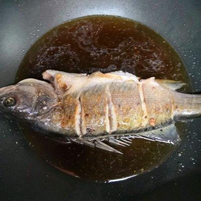 海鲈魚怎麼做才好吃（紅燒海鲈魚）4