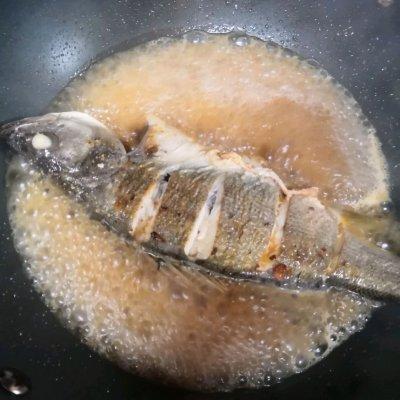 海鲈魚怎麼做才好吃（紅燒海鲈魚）5