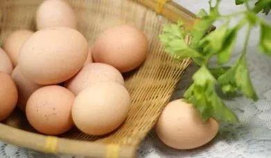 雞蛋鴨蛋鵝蛋哪種蛋營養價值高（健康雞蛋）4