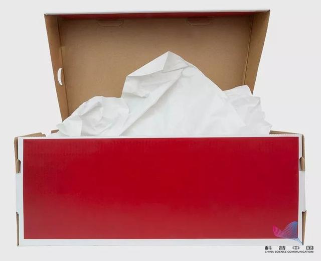 鞋盒裡帶的白紙是幹嘛用的（鞋盒裡的那層白布用處竟然這麼大）2