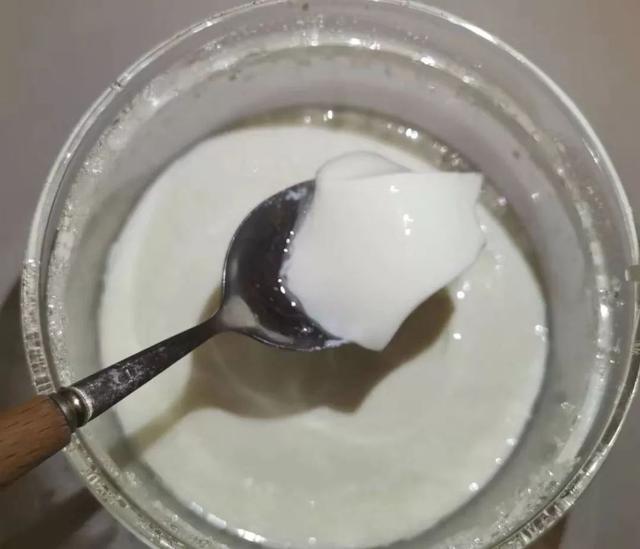 家庭自制酸奶最好喝的做法（自制一杯酸奶給家人）4