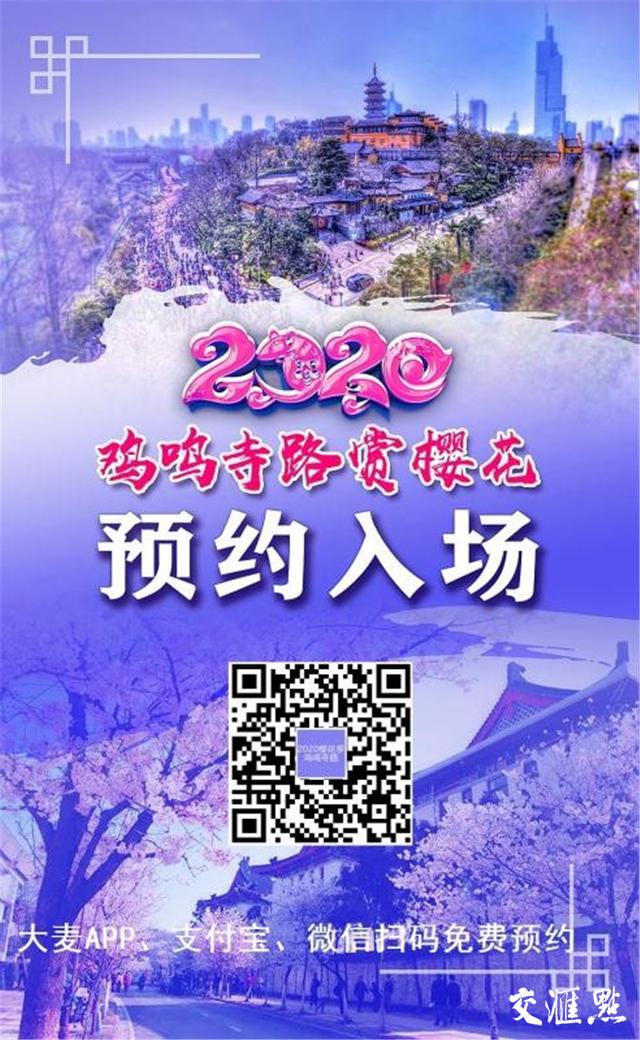 南京即将迎來最美的櫻花季（雞鳴寺路今日起憑票賞櫻）10