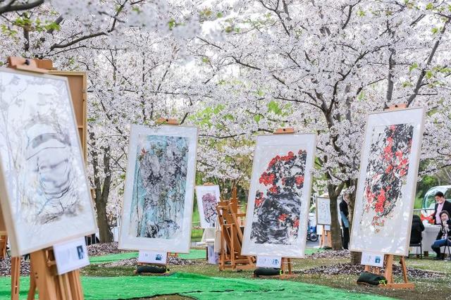 春天上海哪裡可以賞櫻花（上海最大的櫻花公園裡）5