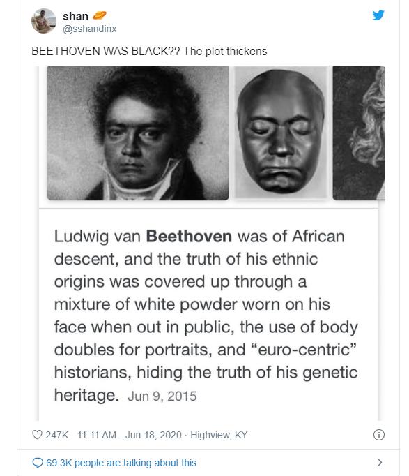 貝多芬被稱呼為什麼（貝多芬是黑人）7