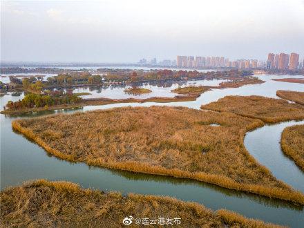 江蘇3A級濕地公園有哪些（江蘇東海生态濕地）2