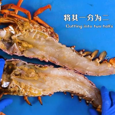 不容錯過的美食澳洲龍蝦（新西蘭峽灣龍蝦刺身）5