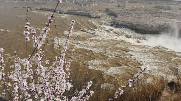 黃河壺口瀑布的桃花汛有什麼特點（黃河壺口瀑布迎來）6
