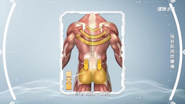 腰疼怎麼練3個動作有效緩解腰痛（在家鍛煉可以防腰痛）6