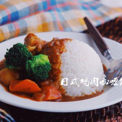 日式土豆雞肉咖喱飯的做法（日式雞肉咖喱飯）20