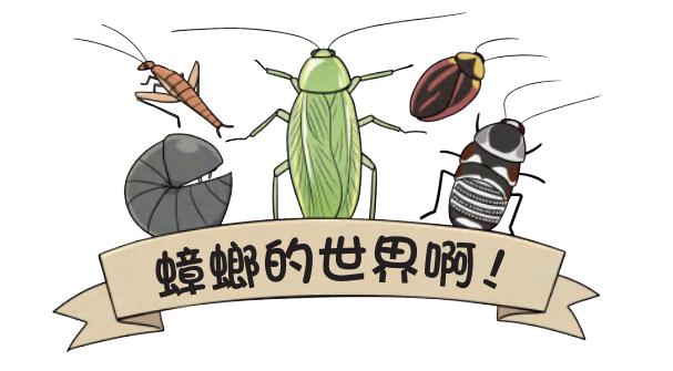 蟑螂是怎麼出現在這個世界上的（居然在冰箱裡發現了蟑螂）9