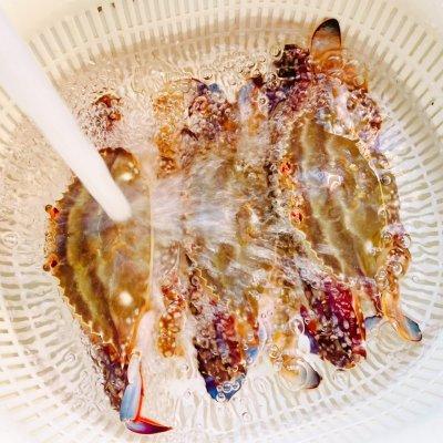 适合清蒸的梭子蟹（一周減脂不重樣）3