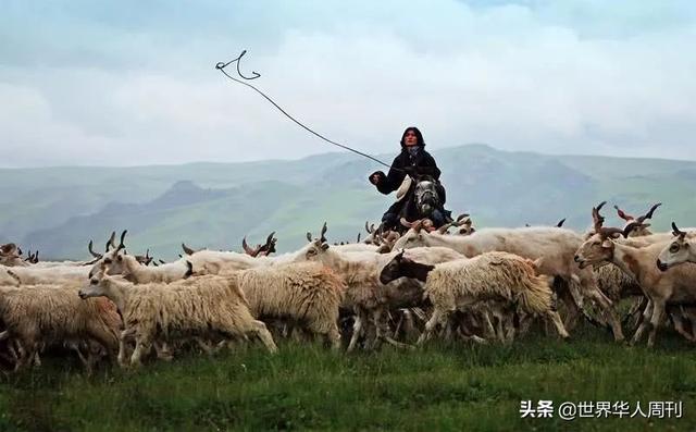 蒙古國漢人現在的生活（蒙古國現在有多慘）10