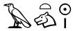 如何學習古埃及象形文字（每天記三個古埃及象形文字詞語和一個詞組）1