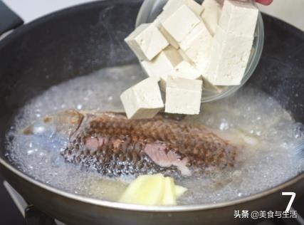 比較好吃的鲫魚豆腐湯做法（在家做鲫魚豆腐湯）8